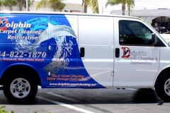 dolphin-carpet-cleaning-1